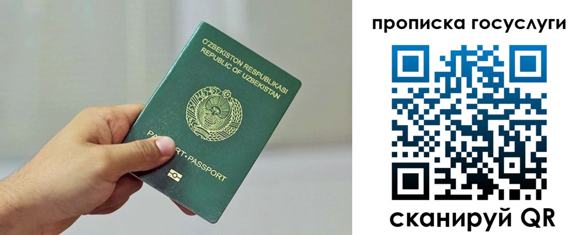 временная регистрация адрес в Жукове
